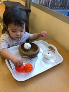 Montessori Infant Care