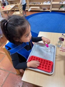 Hawthorne_02-768x1024