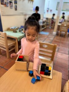 Hawthorne_03-768x1024