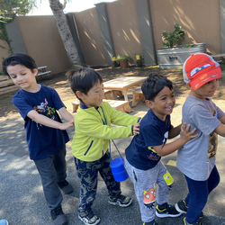 medium_1ABBB373-98FE-4579-9029-DA99C0E8DF55